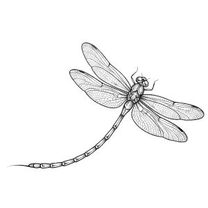 Small dragonfly tattoo design along the hip curve